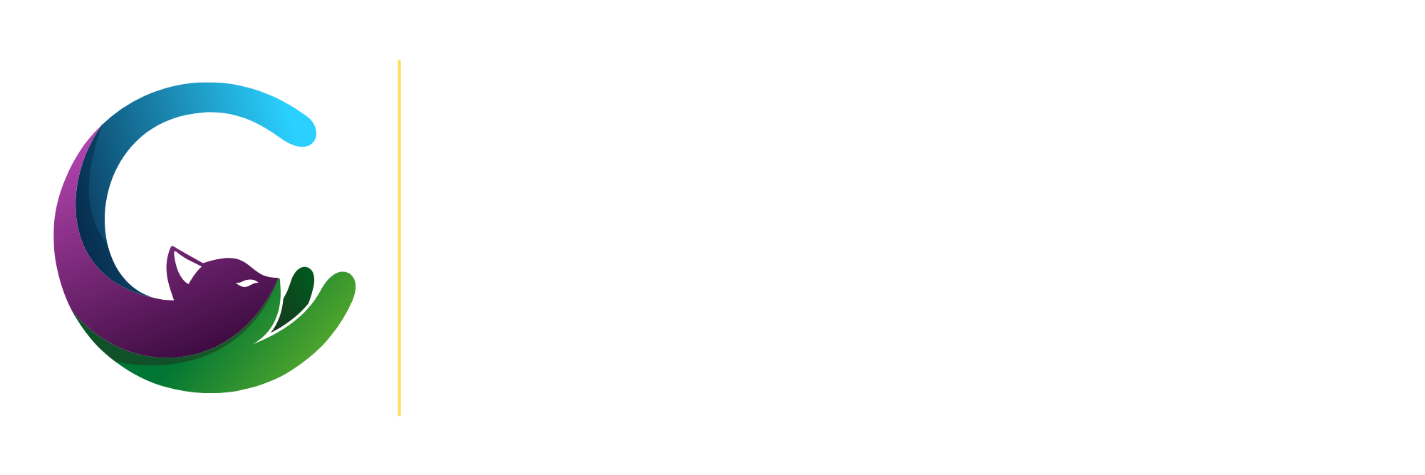 CEDARFLOW VENTURES